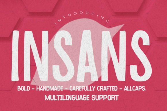 Insans: A Bold Display Font That Elevates Real Small Business Branding